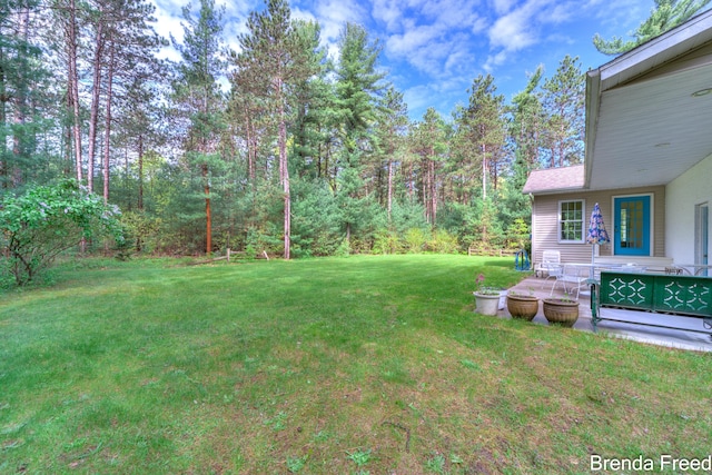 7561 Wiczer Dr, Whitehall, MI 49461 - view of green lawn