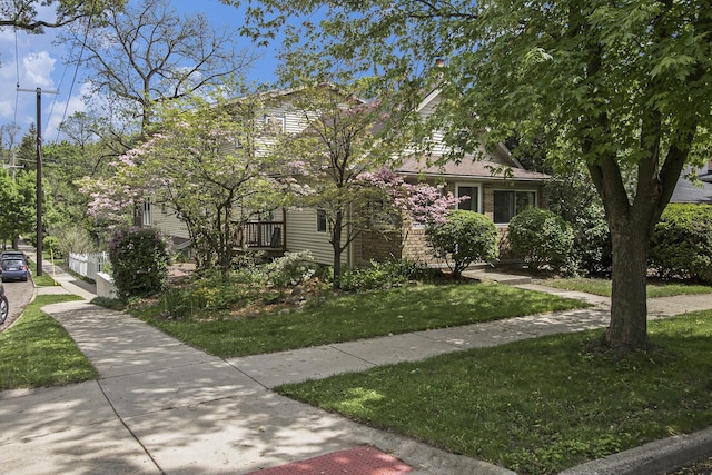 916 Brooks St, Ann Arbor, MI 48103 - photo 5