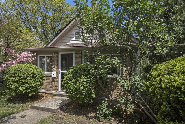916 Brooks St, Ann Arbor, MI 48103 - photo 3