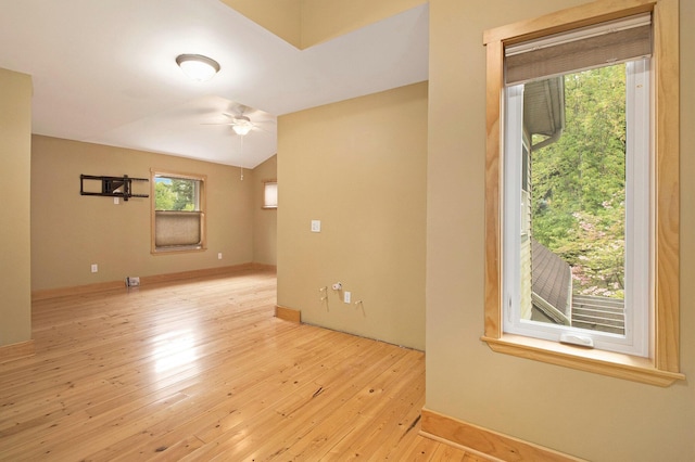 916 Brooks St, Ann Arbor, MI 48103 - photo 33