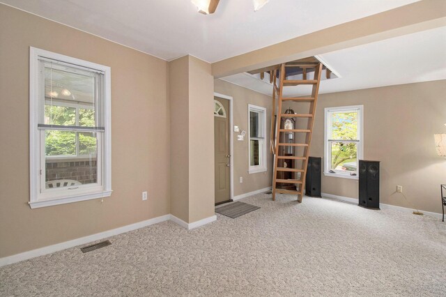 916 Brooks St, Ann Arbor, MI 48103 - photo 25