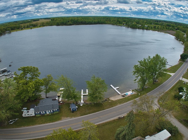 270 E Southern Rd, Coldwater, MI 49036 - bird's eye view of a large body of water