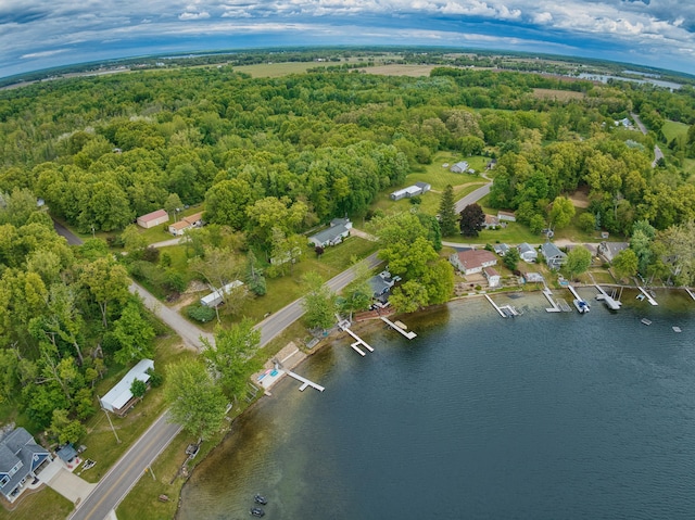 270 E Southern Rd, Coldwater, MI 49036 - view of property location with a forest and a large body of water