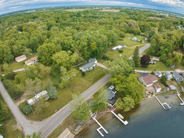 270 E Southern Rd, Coldwater, MI 49036 - aerial view of property and surrounding area with a forest and a large body of water