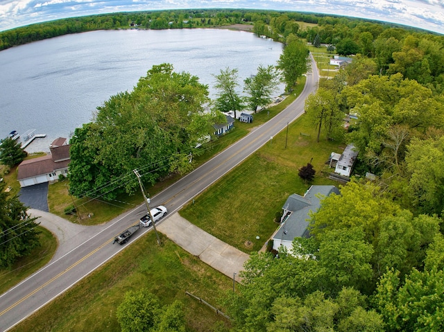 270 E Southern Rd, Coldwater, MI 49036 - bird's eye view of a nearby body of water and a heavily wooded area