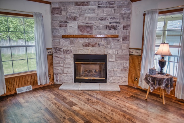270 E Southern Rd, Coldwater, MI 49036 - detailed view of wood finished floors, wainscoting, and a fireplace