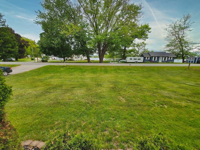 270 E Southern Rd, Coldwater, MI 49036 - view of green lawn
