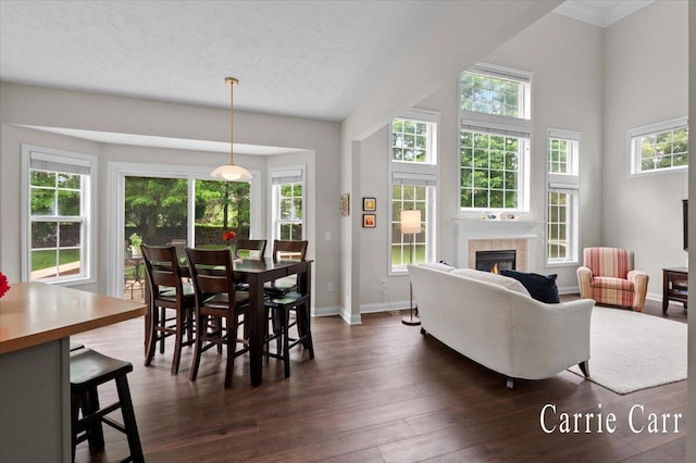 745 Abbey Mill Ct SE, Ada, MI 49301 - living area with dark wood-style flooring, a fireplace, and baseboards