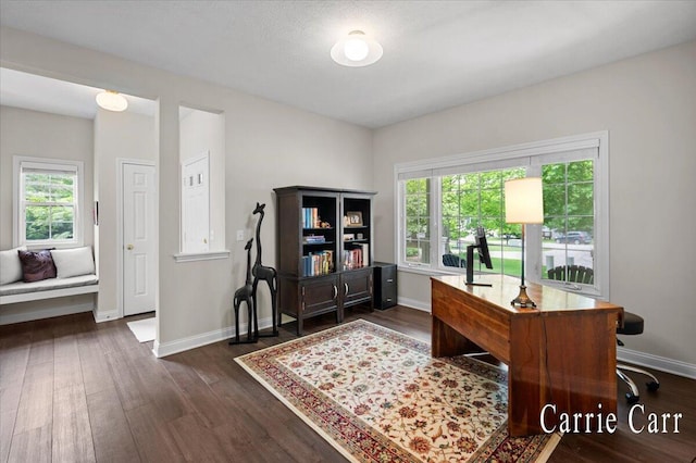 745 Abbey Mill Ct SE, Ada, MI 49301 - office space with dark wood finished floors, plenty of natural light, and baseboards