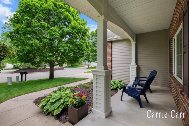 745 Abbey Mill Ct SE, Ada, MI 49301 - view of porch