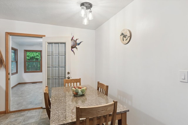 37965 County Road 388, Gobles, MI 49055 - dining room featuring baseboards