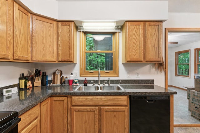 37965 County Road 388, Gobles, MI 49055 - kitchen with dishwasher, a sink, and dark stone countertops