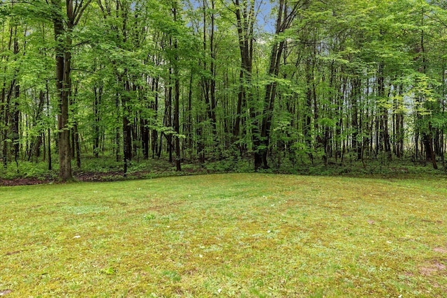 37965 County Road 388, Gobles, MI 49055 - view of green lawn