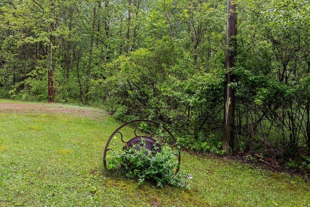 37965 County Road 388, Gobles, MI 49055 - view of green lawn featuring a view of trees
