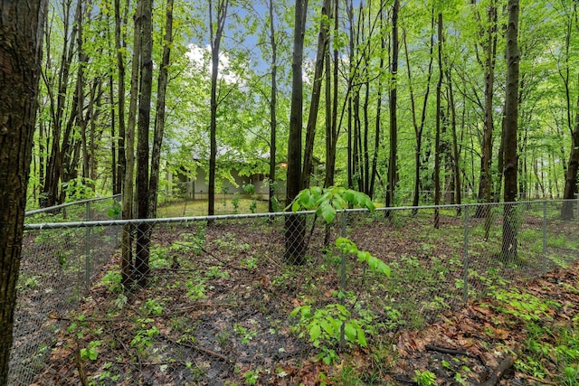 37965 County Road 388, Gobles, MI 49055 - view of yard