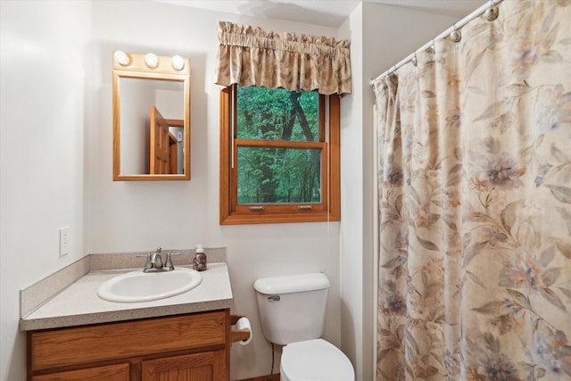 37965 County Road 388, Gobles, MI 49055 - bathroom featuring vanity, toilet, and curtained shower