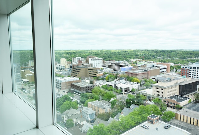 555 E William St Unit 21E, Ann Arbor, MI 48104 - city view