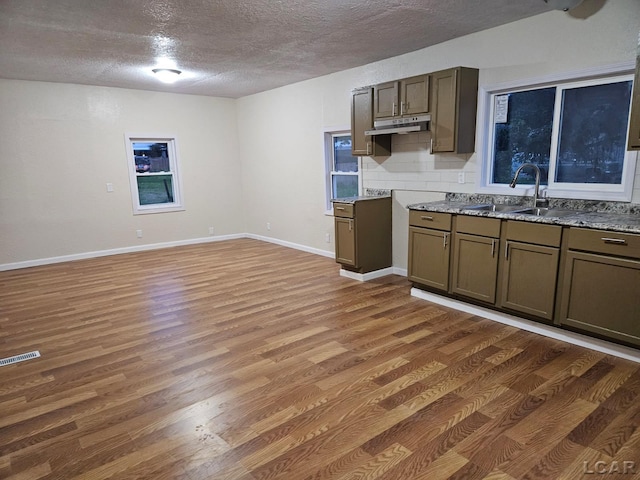 17045 Mill St, Hudson, MI 49247 - kitchen featuring a sink, light wood-type flooring, under cabinet range hood, a textured ceiling, and decorative backsplash