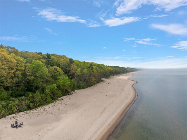 5765 Wildwood Dr, Bridgman, MI 49106 - water view with a forest and local beach
