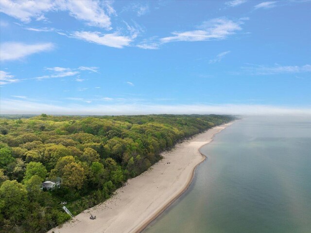 5765 Wildwood Dr, Bridgman, MI 49106 - bird's eye view of a heavily wooded area and a nearby body of water