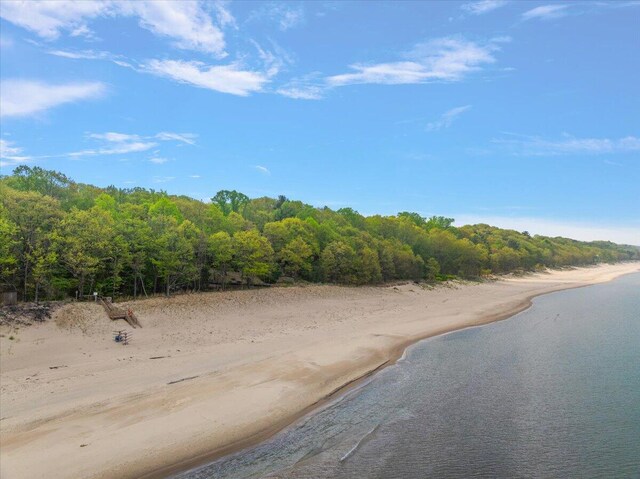 5765 Wildwood Dr, Bridgman, MI 49106 - water view with a forest