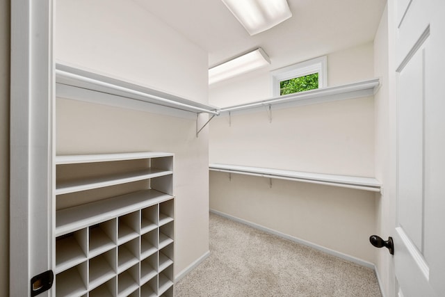 64711 Shorewood Ln, Cassopolis, MI 49031 - spacious closet with carpet floors
