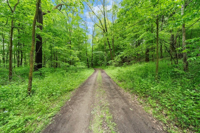 64711 Shorewood Ln, Cassopolis, MI 49031 - view of dirt / gravel road featuring a wooded view