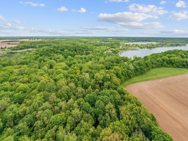 64711 Shorewood Ln, Cassopolis, MI 49031 - bird's eye view of a forest and a nearby body of water
