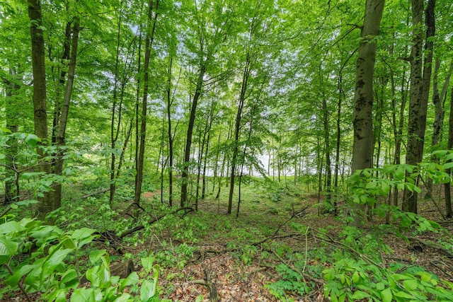 64711 Shorewood Ln, Cassopolis, MI 49031 - view of woods