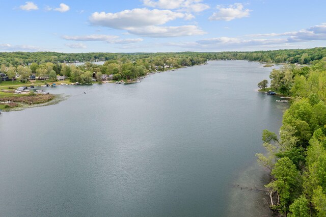 64711 Shorewood Ln, Cassopolis, MI 49031 - water view featuring a forest