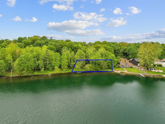 64711 Shorewood Ln, Cassopolis, MI 49031 - aerial view of property's location featuring a nearby body of water, property boundaries highlighted, and a forest