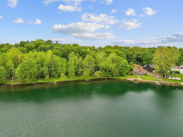 64711 Shorewood Ln, Cassopolis, MI 49031 - water view featuring a heavily wooded area