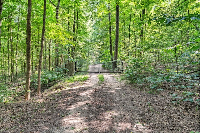 64711 Shorewood Ln, Cassopolis, MI 49031 - view of street with a gate and a wooded view