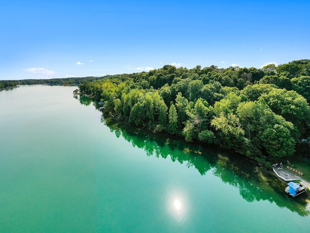 64711 Shorewood Ln, Cassopolis, MI 49031 - bird's eye view of a large body of water and a heavily wooded area
