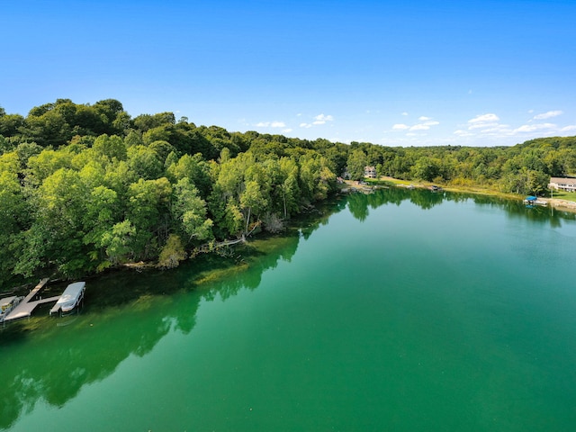 64711 Shorewood Ln, Cassopolis, MI 49031 - water view featuring a heavily wooded area