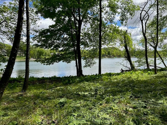 64711 Shorewood Ln, Cassopolis, MI 49031 - water view