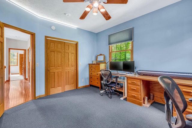 6248 Black Forest Trl, Muskegon, MI 49442 - carpeted office space featuring plenty of natural light, a ceiling fan, and baseboards