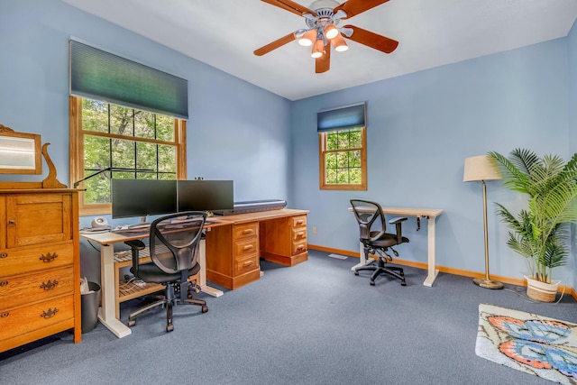 6248 Black Forest Trl, Muskegon, MI 49442 - office space with a ceiling fan, carpet, and baseboards