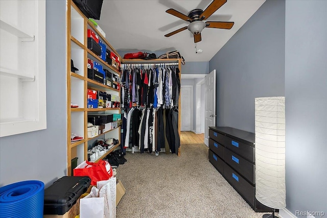 1942 E Troy St, Ferndale, MI 48220 - walk in closet featuring a ceiling fan and carpet flooring