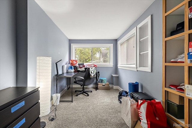 1942 E Troy St, Ferndale, MI 48220 - office with carpet flooring and baseboards