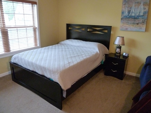 317 Monroe St, South Haven, MI 49090 - carpeted bedroom with baseboards