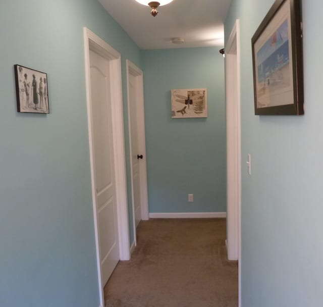 317 Monroe St, South Haven, MI 49090 - corridor with light carpet and baseboards