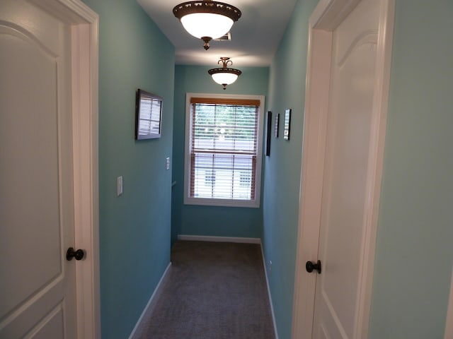 317 Monroe St, South Haven, MI 49090 - hallway with carpet flooring and baseboards