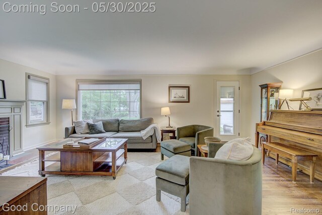 1012 W 12 Mile Rd, Royal Oak, MI 48073 - living area with a fireplace and light wood-style flooring
