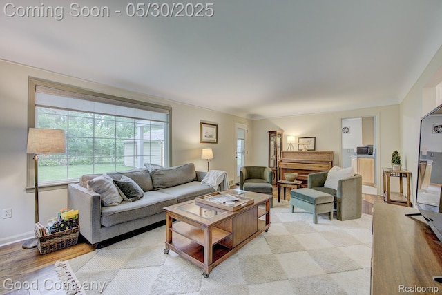 1012 W 12 Mile Rd, Royal Oak, MI 48073 - living room with light wood-style floors and baseboards