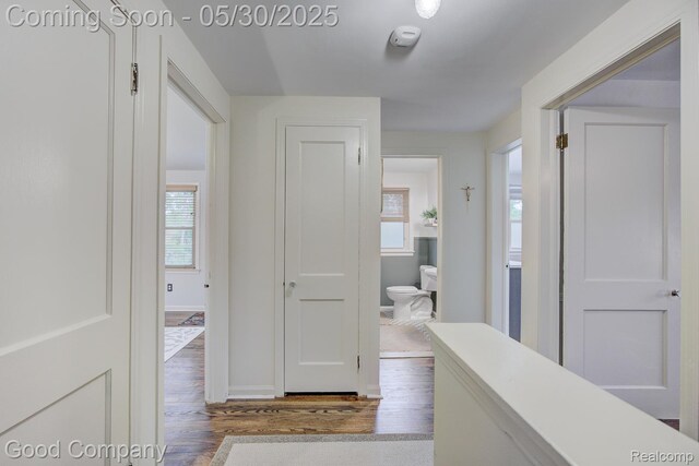 1012 W 12 Mile Rd, Royal Oak, MI 48073 - hallway featuring wood finished floors, plenty of natural light, and baseboards