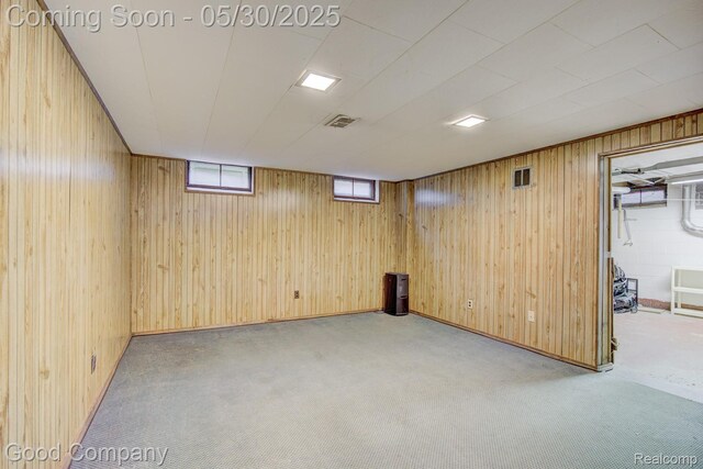 1012 W 12 Mile Rd, Royal Oak, MI 48073 - below grade area with wood walls and carpet floors