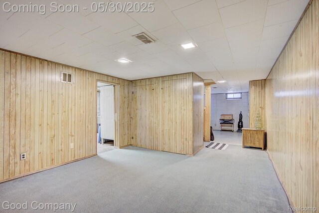 1012 W 12 Mile Rd, Royal Oak, MI 48073 - finished basement with wood walls and carpet floors