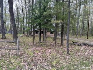 478 Karcher Rd, Rose City, MI 48654 - view of undeveloped land