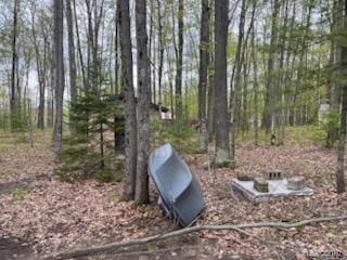 478 Karcher Rd, Rose City, MI 48654 - entry to storm shelter